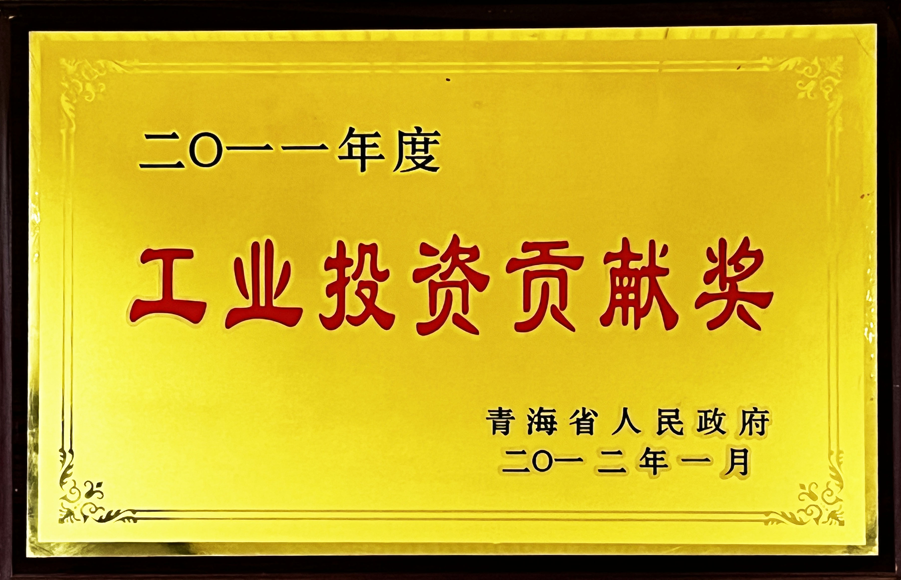 09-精建-工业投资贡献奖.jpg